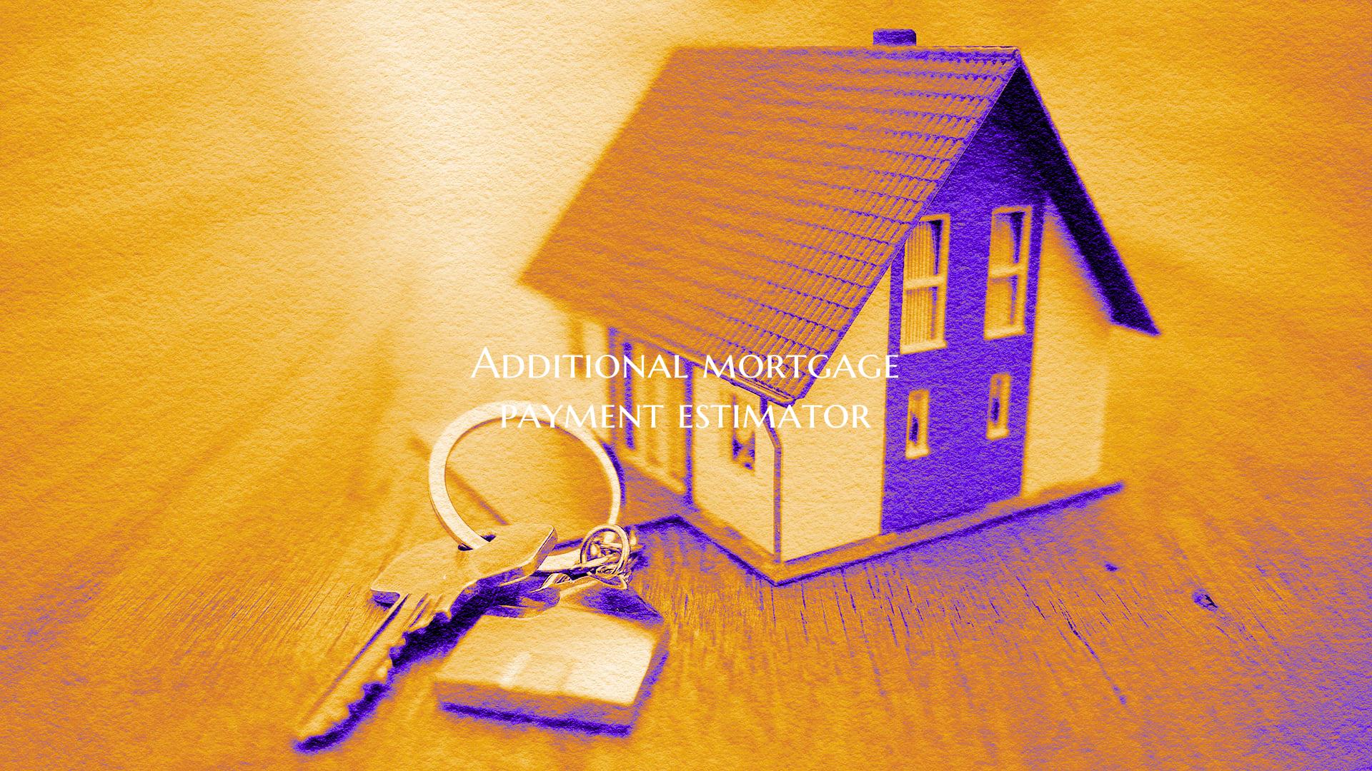 Additional mortgage payment ...